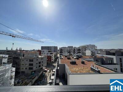 Terrassenwohnung mieten in 1100 Wien (Bild 2)