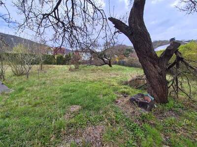 Grundstück kaufen in 2410 Hainburg