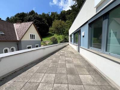 Gewerbeobjekt mieten in 8054 Graz (Bild 1)