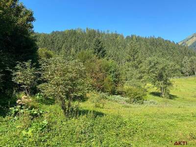 Grundstück kaufen in 8953 Donnersbachwald (Bild 4)