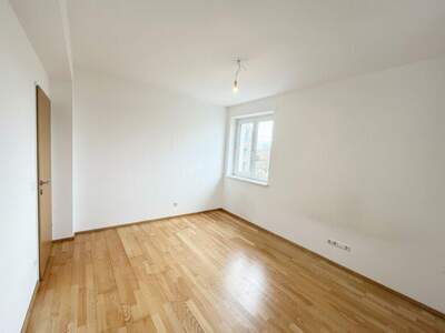 Terrassenwohnung mieten in 3140 Pottenbrunn (Bild 5)