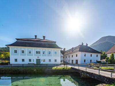 Gewerbeobjekt mieten in 4644 Scharnstein (Bild 5)