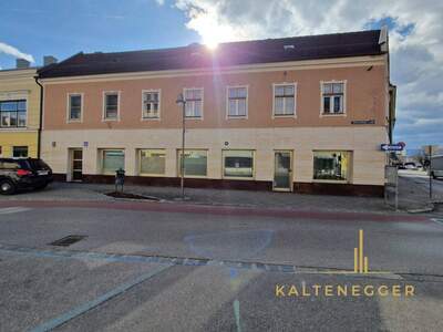 Haus kaufen in 2620 Neunkirchen