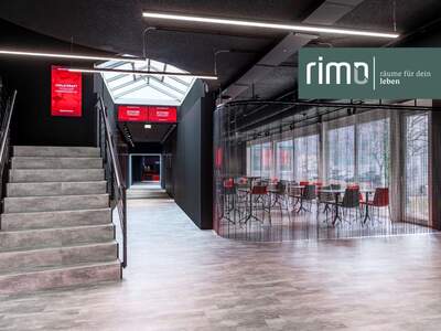 Gewerbeobjekt mieten in 6842 Koblach (Bild 1)