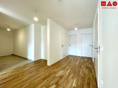 Terrassenwohnung kaufen in 4020 Linz (Bild 5)