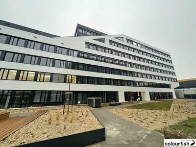 Gewerbeobjekt mieten in 1230 Wien (Bild 1)