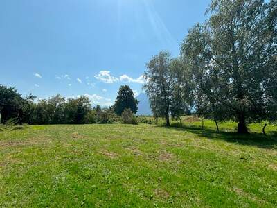 Grundstück kaufen in 5020 Salzburg (Bild 3)