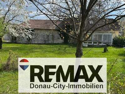 Einfamilienhaus kaufen in 2351 Wr. Neudorf (Bild 4)