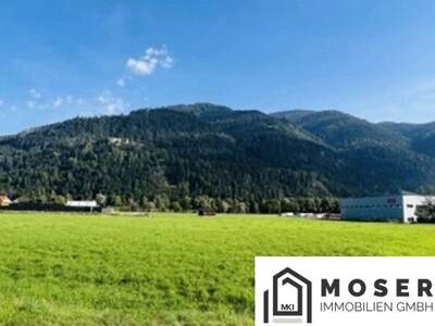 Gewerbeobjekt kaufen in 8842 Katsch (Bild 2)