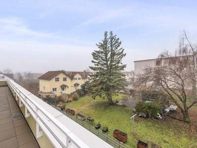 Terrassenwohnung kaufen in 2540 Bad Vöslau (Bild 3)