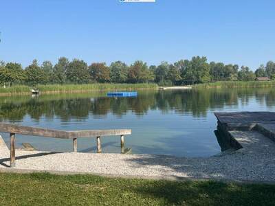 Altbauwohnung kaufen in 2362 Biedermannsdorf (Bild 4)