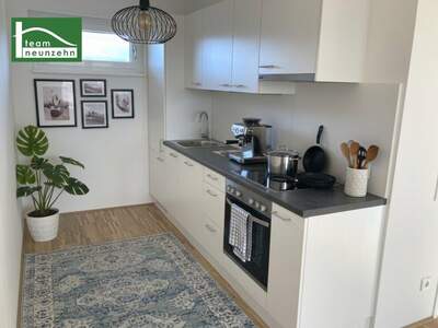 Terrassenwohnung mieten in 8020 Graz (Bild 3)