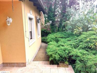 Haus mit Garten kaufen in 2291 Lassee (Bild 5)