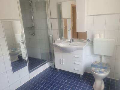Altbauwohnung mit Balkon kaufen in 6710 Nenzing (Bild 4)
