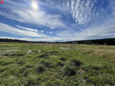Grundstück kaufen in 8151 Attendorf