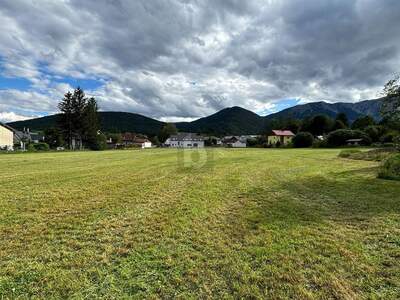 Grundstück kaufen in 2734 Puchberg (Bild 3)