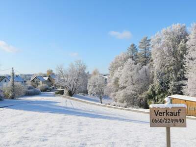 Grundstück kaufen in 8503 Sankt Josef (Bild 1)