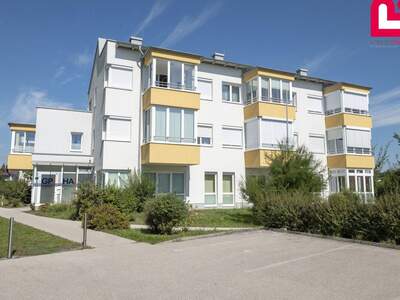 Wohnung mieten in 4502 St. Marien (Bild 5)