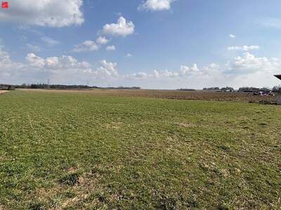 Grundstück kaufen in 8424 Gabersdorf