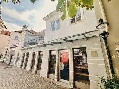 Anlageobjekt kaufen in 2700 Wiener Neustadt