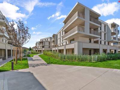 Wohnung mieten in 3441 Judenau