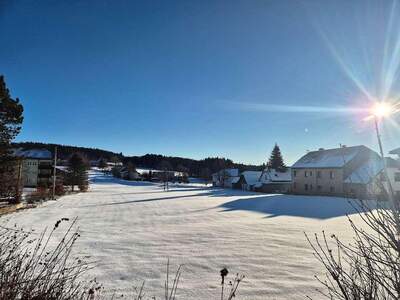 Grundstück kaufen in 4251 Sandl (Bild 1)