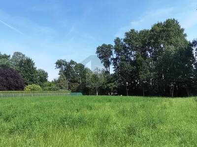 Grundstück kaufen in 2490 Ebenfurth (Bild 2)