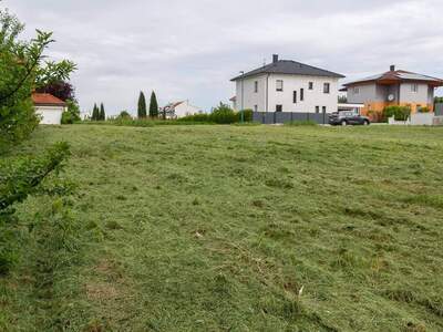 Grundstück kaufen in 7100 Neusiedl