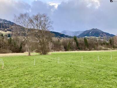 Grundstück kaufen in 6820 Nenzing (Bild 1)