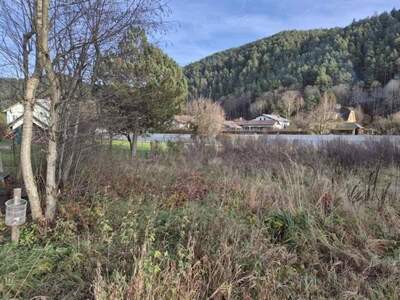 Grundstück kaufen in 3184 Türnitz