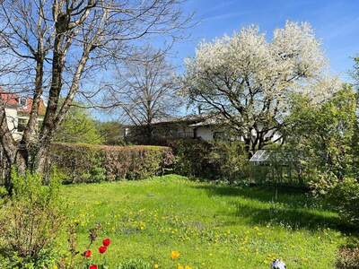 Gewerbeobjekt mieten in 4644 Scharnstein (Bild 3)