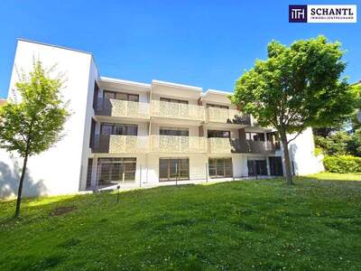 Terrassenwohnung kaufen in 1230 Wien (Bild 5)