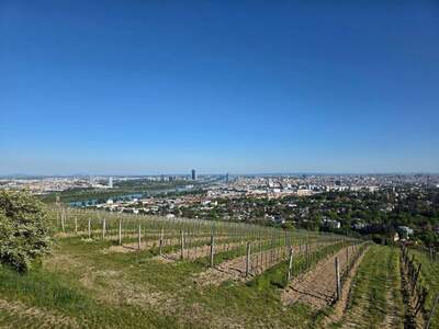 Gewerbeobjekt provisionsfrei kaufen in 1190 Wien