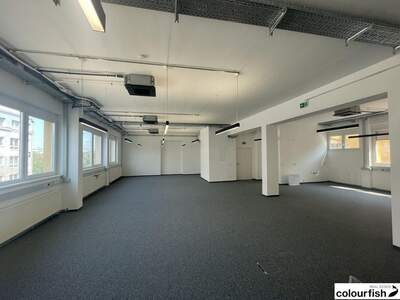 Gewerbeobjekt mieten in 1100 Wien (Bild 5)