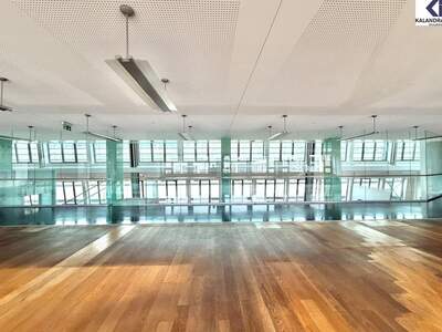 Gewerbeobjekt mieten in 1010 Wien (Bild 5)