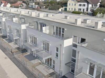 Terrassenwohnung mieten in 2123 Unterolberndorf (Bild 1)