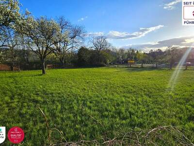 Grundstück kaufen in 2630 Ternitz