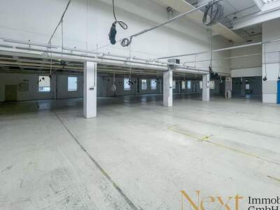 Gewerbeobjekt mieten in 4052 Ansfelden (Bild 5)