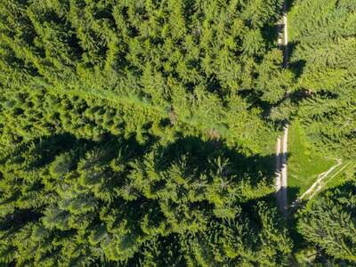 Gewerbeobjekt kaufen in 2651 Prein (Bild 5)
