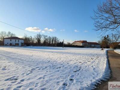 Grundstück kaufen in 4614 Marchtrenk (Bild 1)