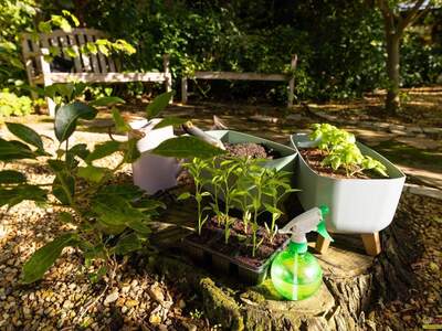 Gewerbeobjekt mieten in 8055 Graz