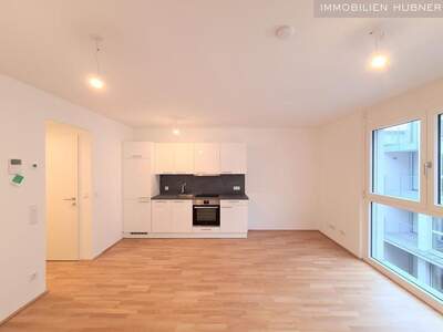 Wohnung mit Balkon mieten in 1210 Wien (Bild 1)