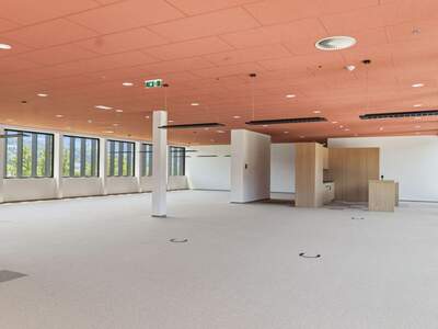 Gewerbeobjekt mieten in 6922 Wolfurt (Bild 5)