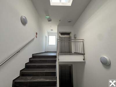 Gewerbeobjekt mieten in 3300 Amstetten (Bild 4)