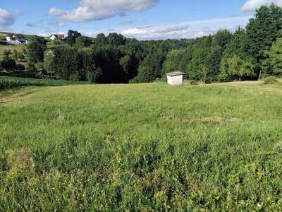 Grundstück kaufen in 7574 Burgauberg