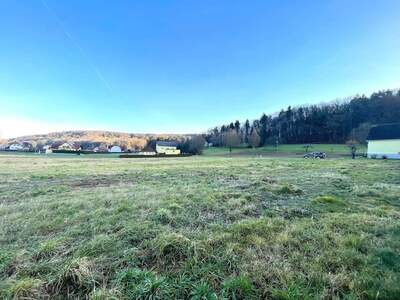 Grundstück kaufen in 8330 Feldbach