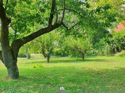 Haus kaufen in 7444 Unterloisdorf (Bild 3)