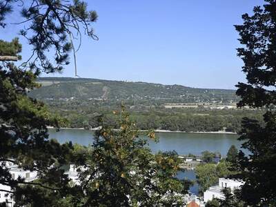 Wohnung provisionsfrei mieten in 1190 Wien