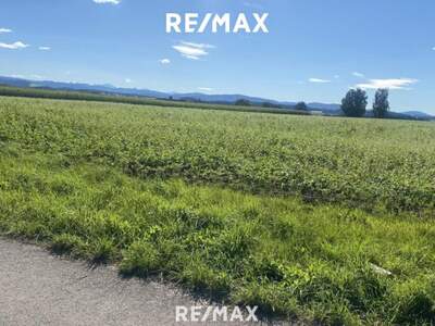 Haus kaufen in 4851 Gampern (Bild 2)