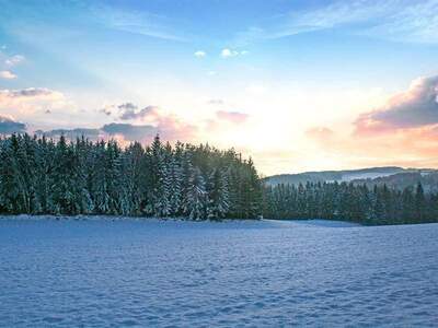 Haus kaufen in 4211 Alberndorf